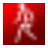 新华打字通官方版下载